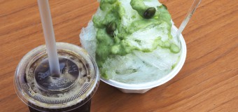 【かき氷】青果氷店&THE COFFEE TABLE 芝生カフェキャラバン8月  at   秋葉区 ボーデコール行ってきた