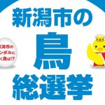 熱い選挙戦はすでに始まっていた！新潟市の鳥総選挙～新潟市のシンボルに輝く鳥は!?～