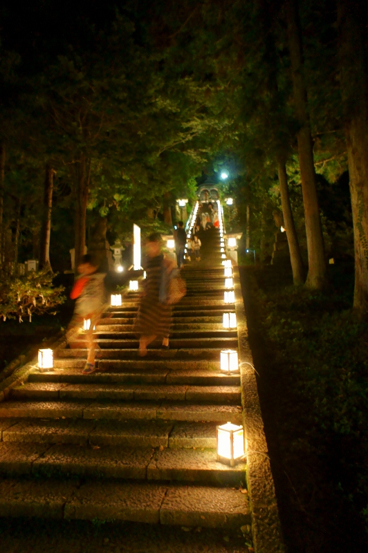 青海神社までの参道ももちろんライトアップされています。
