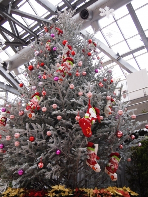 クリスマス展（写真提供：新潟県立植物園）