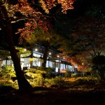 水面に映る紅葉に感じる日本の美、新発田「清水園」のライトアップに行ってみました
