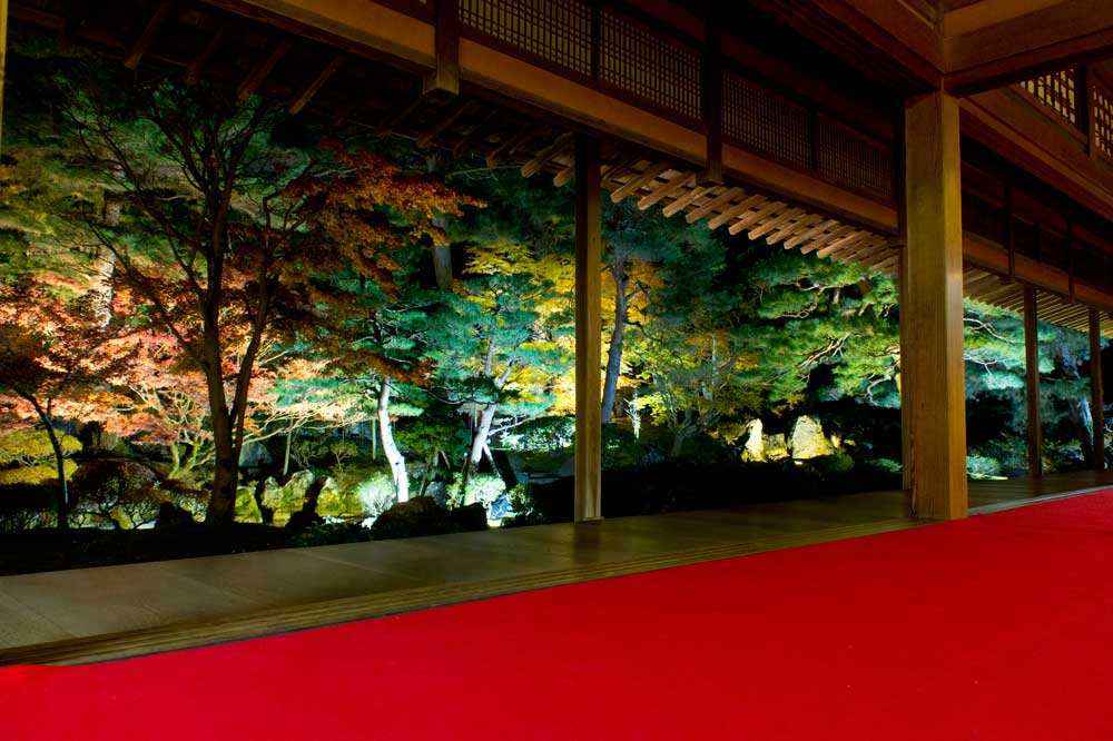 秋の夜長に感じる日本の美、北方文化博物館で「庭園ライトアップ」が開催中（～11/24）