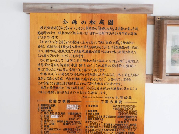 山形県の天然記念物　村上屋の念珠の松