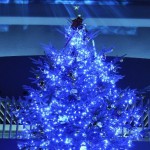 3つの期間限定プログラムが登場、新潟市中央区「マリンピア日本海の特別なクリスマス」が開催